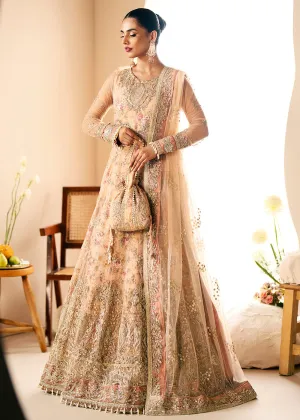 Inayat Festive Formals '24 by AJR Couture | Daffodil